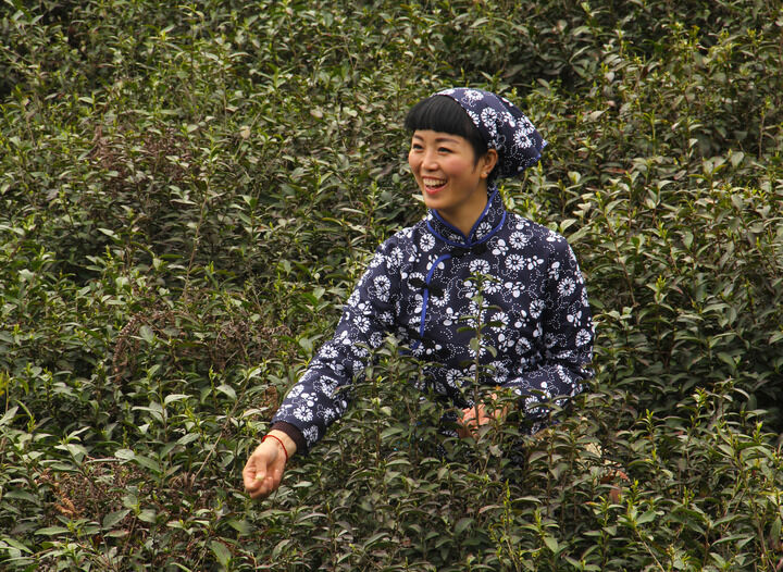 百丽热门1